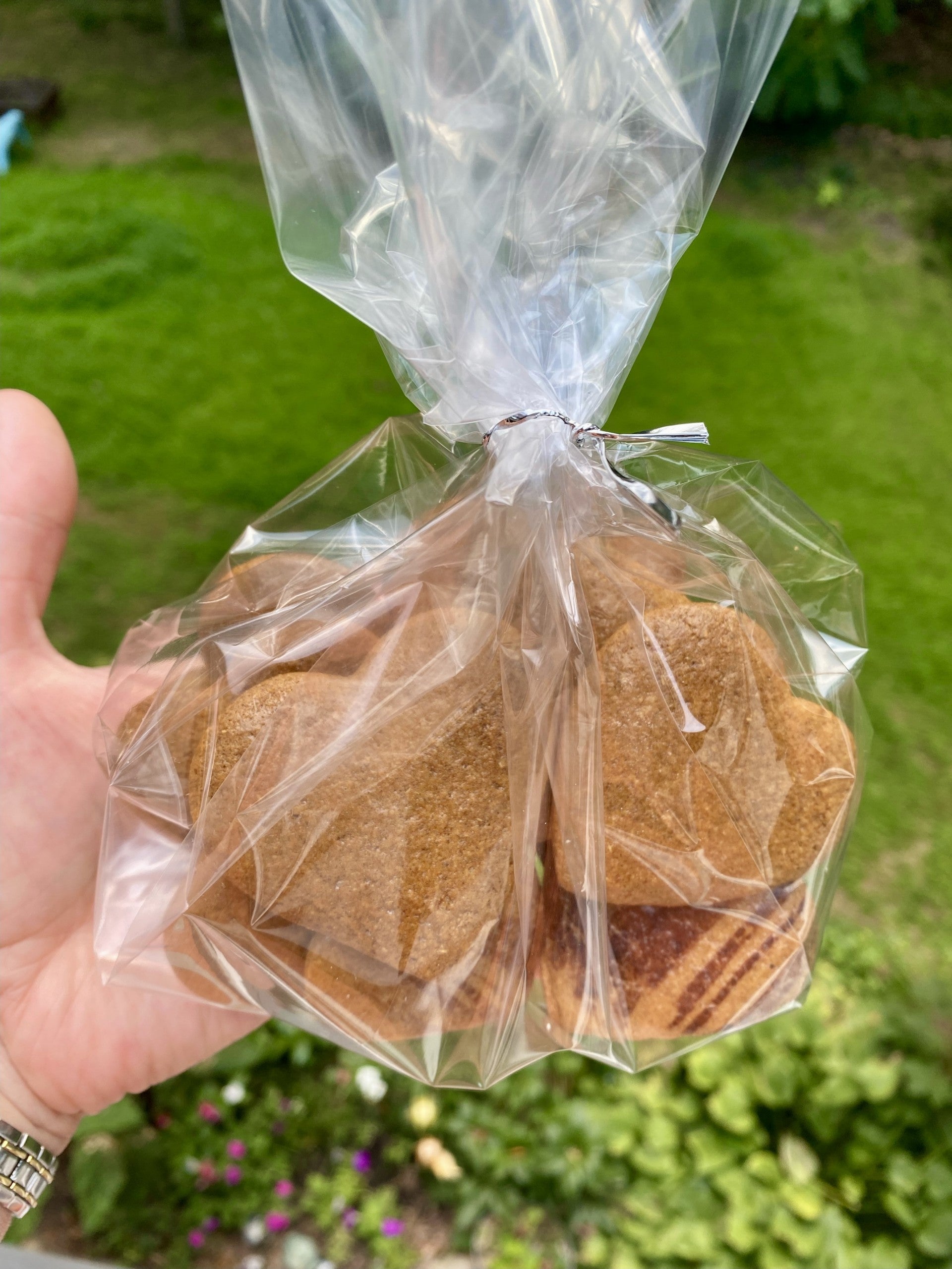 Plain Gingerbread Cookies (20ct)