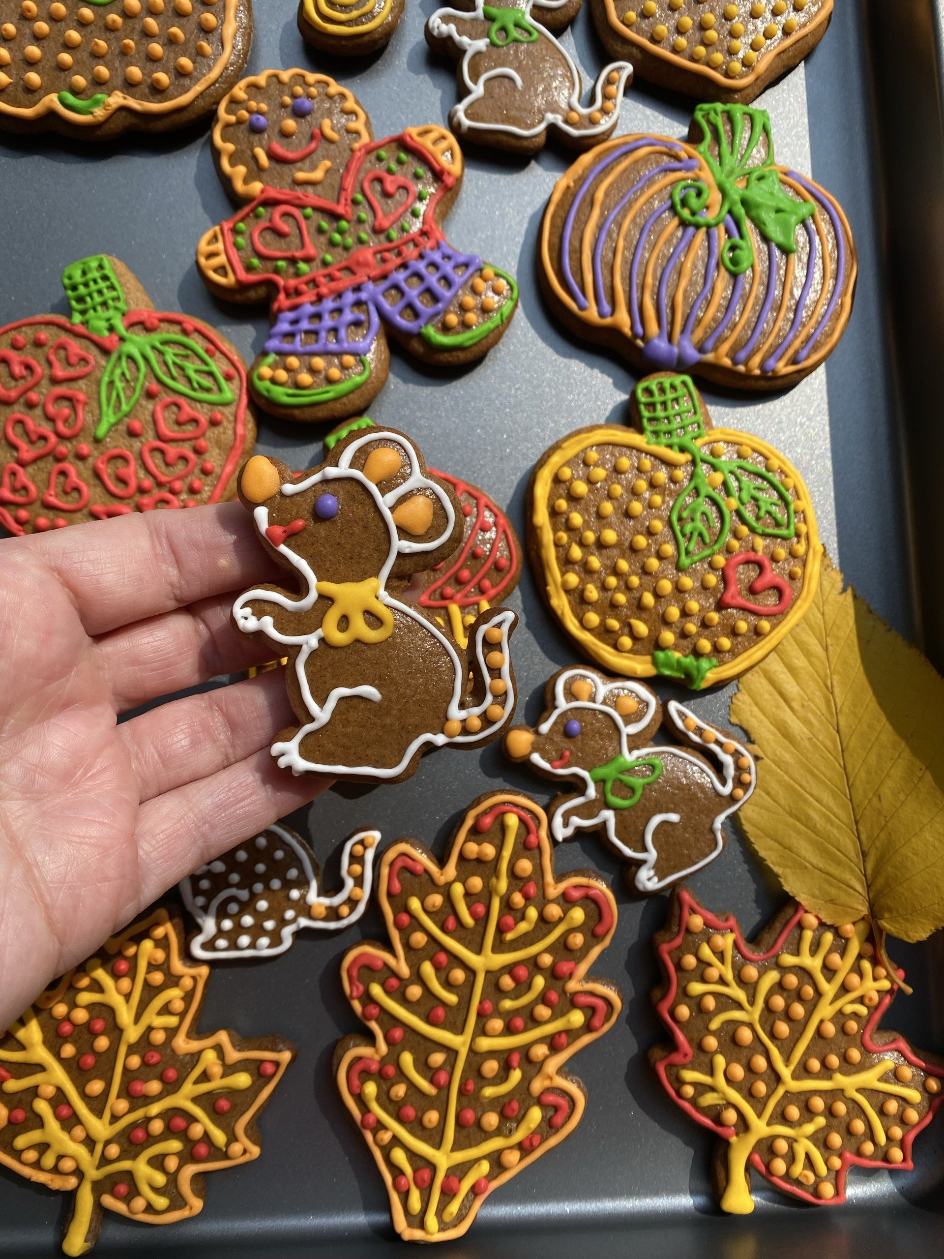 Seasonal Gingerbread Cookies12ct