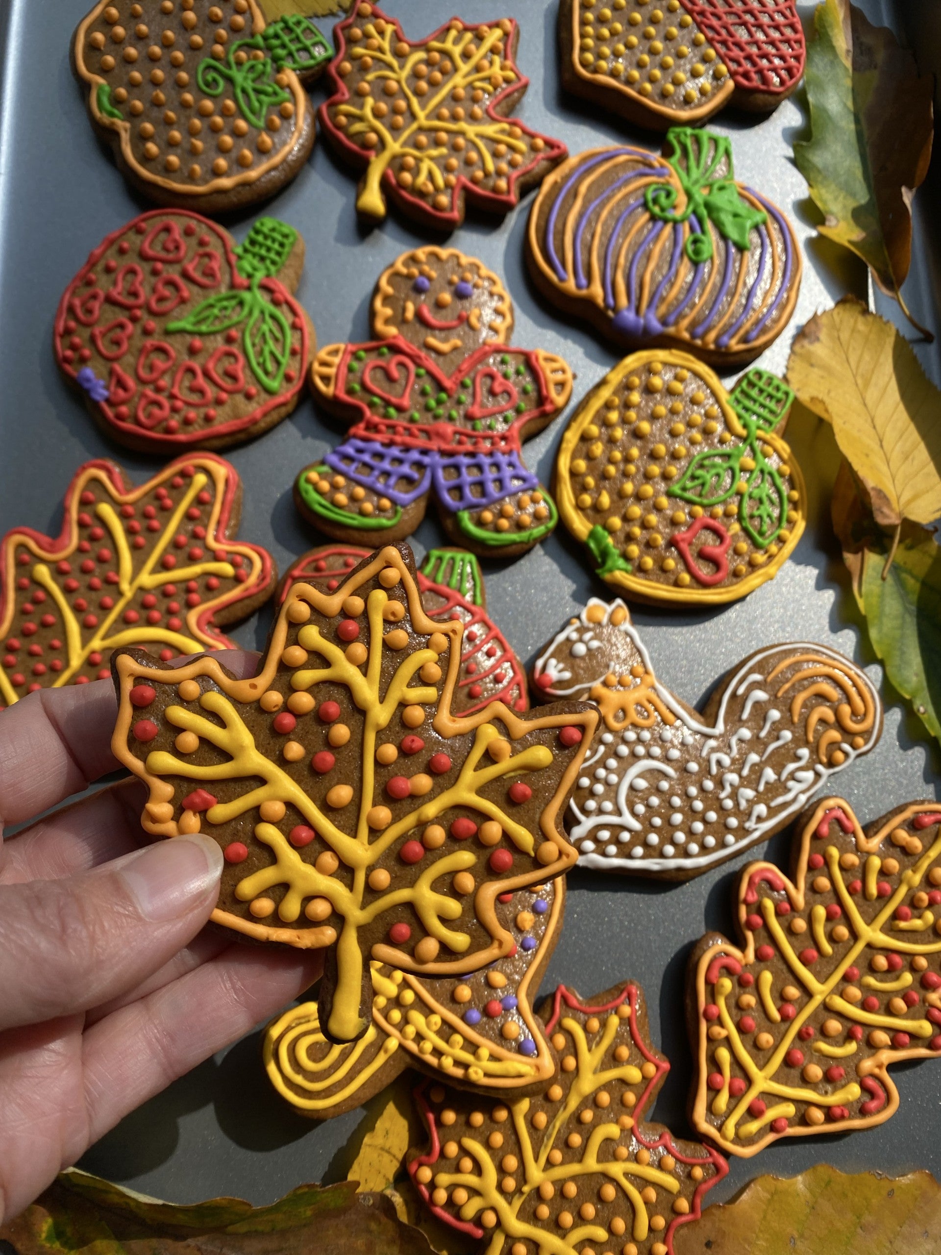 Seasonal Gingerbread Cookies12ct